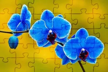 flores jigsaw puzzle