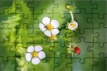 flores jigsaw puzzle