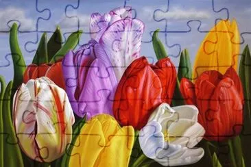 פאזל של Tulips