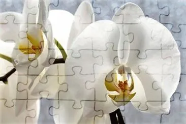 flores jigsaw puzzle