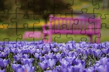 flores jigsaw puzzle