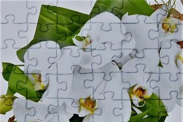 flores jigsaw puzzle