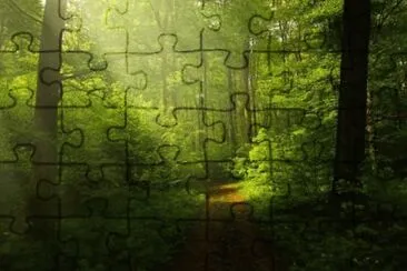 Nature jigsaw puzzle