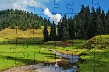 Nature jigsaw puzzle