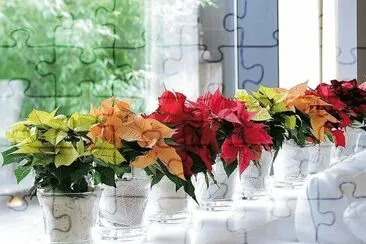 flores jigsaw puzzle