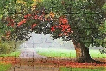 natural jigsaw puzzle