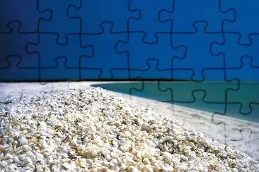 natural jigsaw puzzle