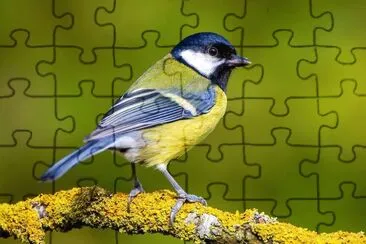 natural jigsaw puzzle