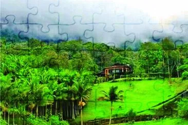 19 jigsaw puzzle