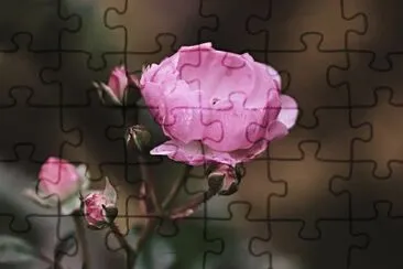 Imagem jigsaw puzzle