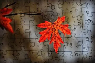 Imagem jigsaw puzzle