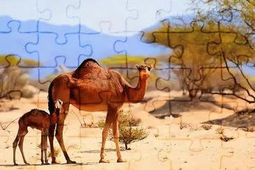 Imagem jigsaw puzzle