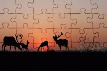 Imagem jigsaw puzzle