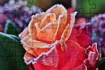 Imagem jigsaw puzzle