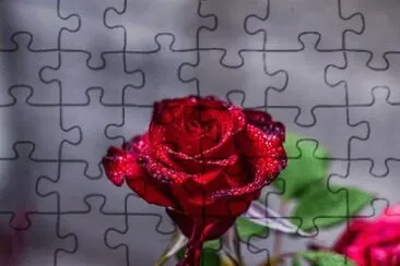 Imagem jigsaw puzzle