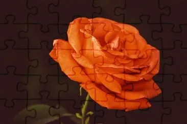 Imagem jigsaw puzzle