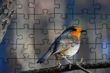 Imagem jigsaw puzzle