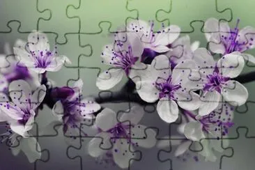 Imagem jigsaw puzzle