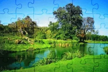 Imagem jigsaw puzzle