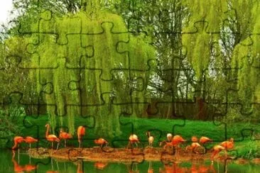 Imagem jigsaw puzzle