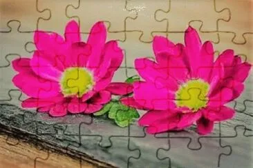 Imagem jigsaw puzzle