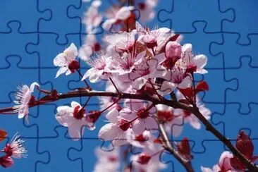 Imagem jigsaw puzzle