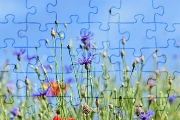 Imagem jigsaw puzzle