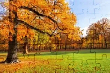 Imagem jigsaw puzzle