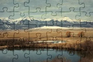 Imagem jigsaw puzzle