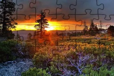 Imagem jigsaw puzzle