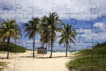 Imagem jigsaw puzzle