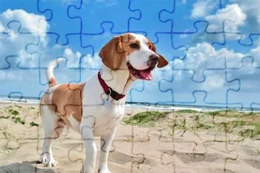 Imagem jigsaw puzzle