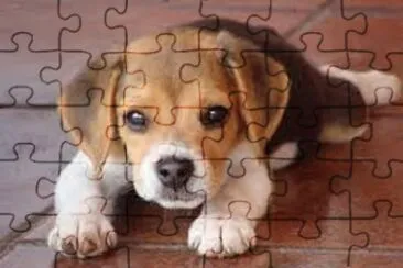 Imagem jigsaw puzzle