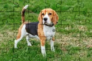 Imagem jigsaw puzzle