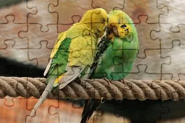 Imagem jigsaw puzzle