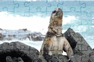 Imagem jigsaw puzzle