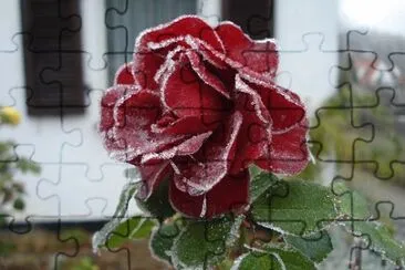 Imagem jigsaw puzzle