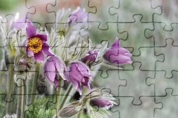 Imagem jigsaw puzzle