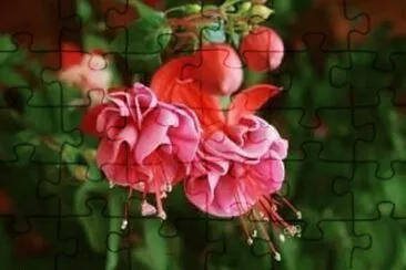 Imagem jigsaw puzzle