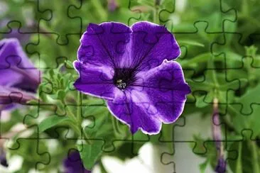 Imagem jigsaw puzzle