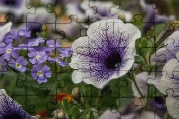 Imagem jigsaw puzzle