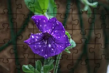 Imagem jigsaw puzzle