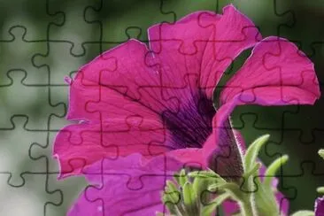 Imagem jigsaw puzzle