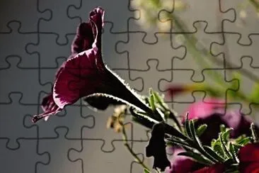 Imagem jigsaw puzzle