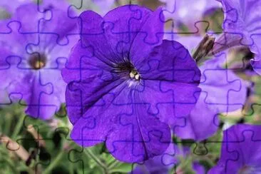 Imagem jigsaw puzzle