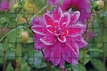 Imagem jigsaw puzzle