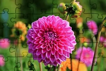 Imagem jigsaw puzzle