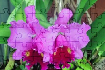 Imagem jigsaw puzzle