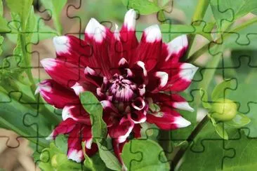 Imagem jigsaw puzzle