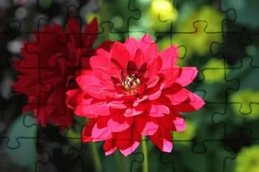 Imagem jigsaw puzzle